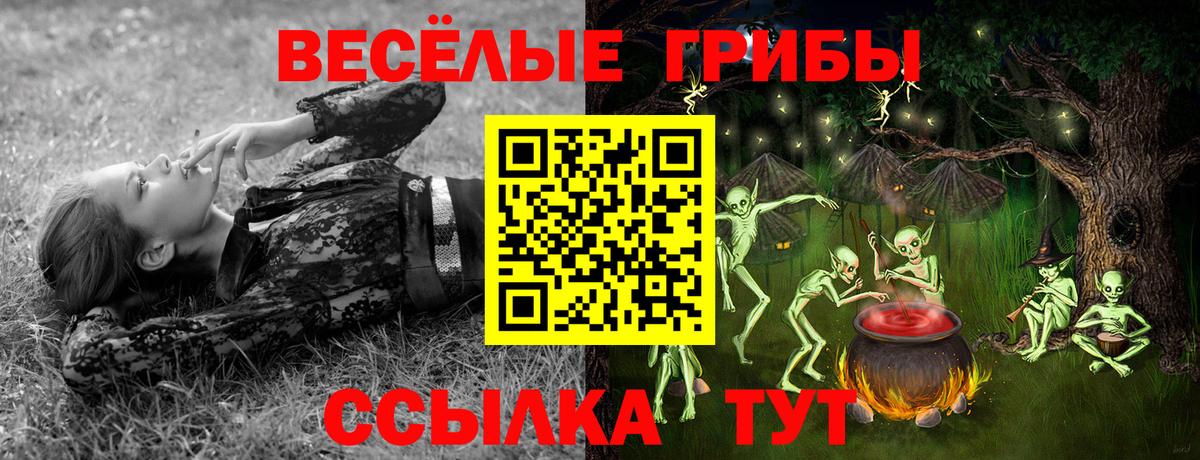 Галлюциногенные грибы Psilocybine cubensis  Вход с VPN  Сердобск 
